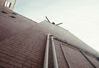 Laughin To Tha Bank GIF by Skylar Blatt