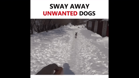 Glennyjarmin82 giphygifmaker GIF