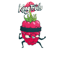 Vape Framboise Sticker by Cloud Vapor