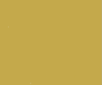 flashaircargo miami fast flash air GIF