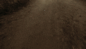 chevrolet truck chevy trucks mud GIF