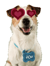 dog puppy Sticker