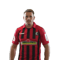 Sc Freiburg Celebration Sticker by SCF