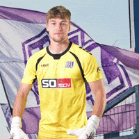 Tor Goalkeeper GIF by VfLOsnabrueck