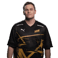 Navi Vct Sticker by VALORANT Esports