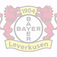 Bayer 04 Soccer GIF by Bayer 04 Leverkusen