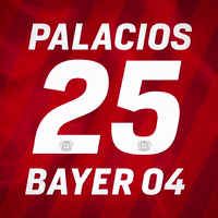 Bayer 04 Soccer GIF by Bayer 04 Leverkusen