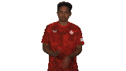 Fc Kaiserslautern Clapping Sticker by Bundesliga