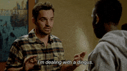 jake johnson fox GIF by New Girl