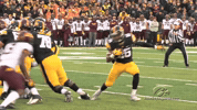 GIF by University of Iowa Hawkeyes Athletics