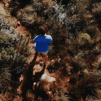 Niantic walking hiking outdoors outside GIF