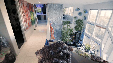 artworkphotosco giphyupload GIF