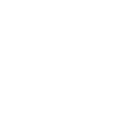 Turtle Craft Beer Sticker by Terrapin Beer Co.