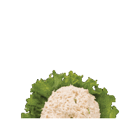 Carol Sticker by Chicken Salad Chick
