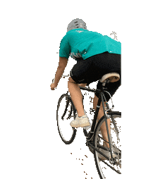 Bike Cruising Sticker by Velo Vino et Pivo