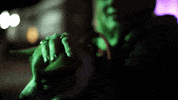 Dog Night GIF by James Madison University