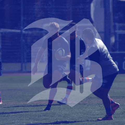 Elbancodelrugby GIF by Banco de  Chile
