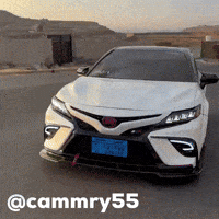 Camry GIF