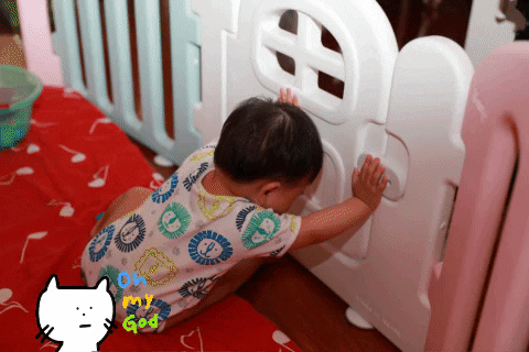 twkafka giphygifmaker giphyattribution GIF