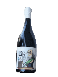 Vinho_Maos wine vino vin vinho Sticker