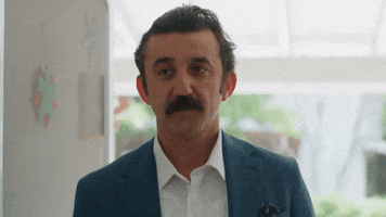 Necip Memili Reha GIF by Show TV