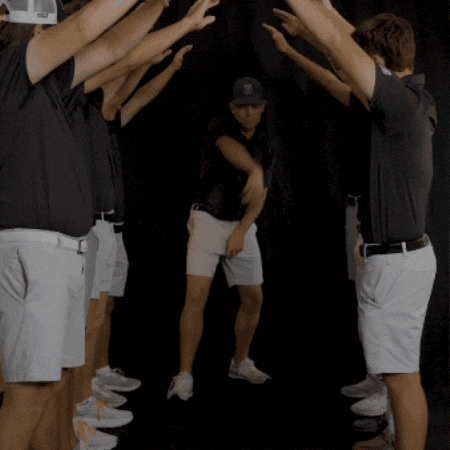Fort Wayne Golf GIF by Purdue Fort Wayne Athletics