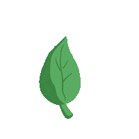 Leaf Sticker by museLIVE
