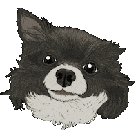 Dog Sticker