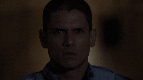 michael scofield fox GIF by Prison Break