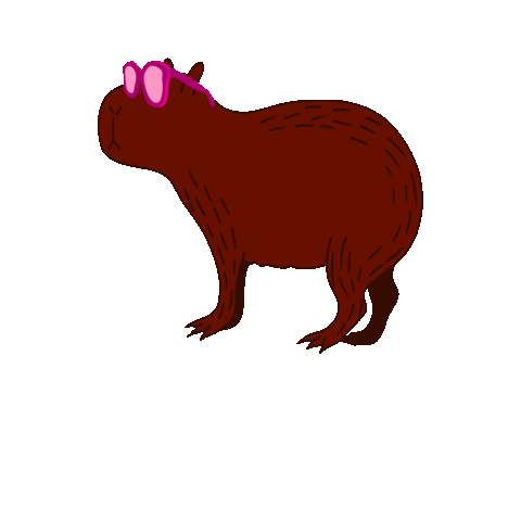 ConceptualColors vibing capybara capybaras conceptual colors Sticker