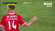 Sl Benfica Slbgif GIF by Sport Lisboa e Benfica