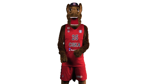 Sport Basketball Sticker by CSKA Moscow