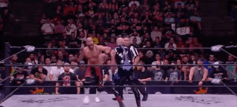 Dustin Rhodes Wrestling GIF by AEWonTV