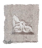 Gifmakerolive stone concrete antique olivst Sticker
