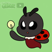 Make A Wish Good Luck GIF by Christophers Genie