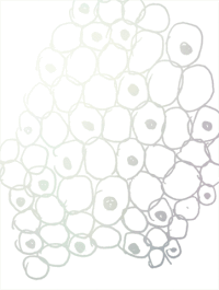 gradients pattern gifs GIF by Yvonne Cheng