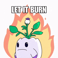 On Fire Burn GIF by Magic Eden