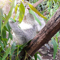 GIF by Tabac info service 