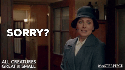 Excuse Me What GIF by MASTERPIECE | PBS