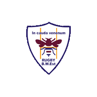 Bwest Sticker by Belgium Rugby