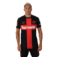 Posing Bayer 04 Sticker by Bayer 04 Leverkusen