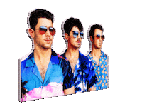 joe Sticker by Jonas Brothers