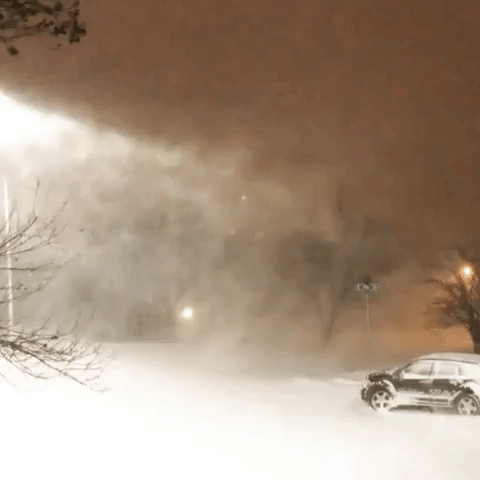 Blizzard Conditions Reported in Minnesota During 'Powerful' Winter Storm