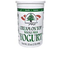 Middle East Ramadan Sticker by Karoun Dairies