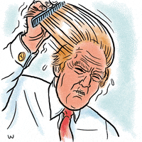 Trump GIF by MOODMAN