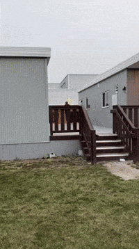 Boyz Gbz GIF