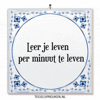 Humor Focus GIF by Tegelspreuken.nl