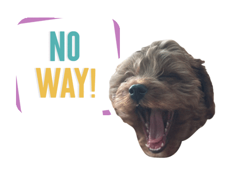 No Way Dog Sticker by theinstagramexpert