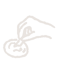 South Africa Sticker by Spotify