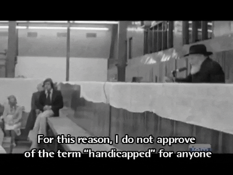 mottel giphygifmaker GIF